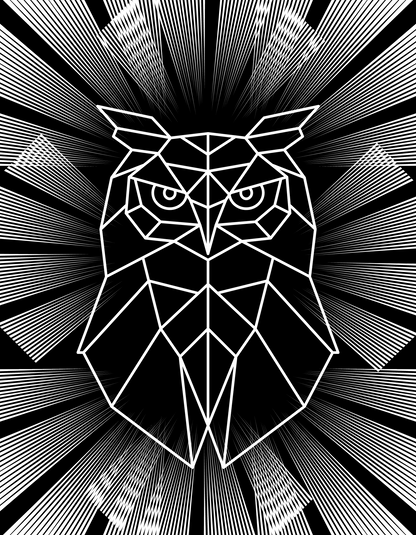 Cuukuy Geometric Owl T-Shirt - Black, White